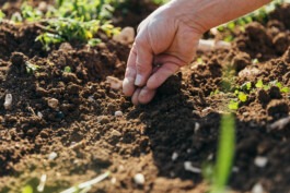 Fabian Hönig – Photographer