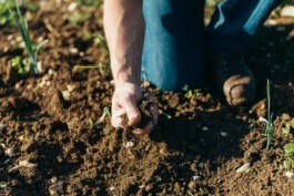 Fabian Hönig – Photographer