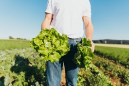  Fabian Hönig – Photographer