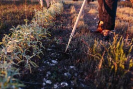 Fabian Hönig – Photographer