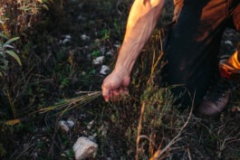 Fabian Hönig – Photographer