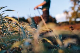 Fabian Hönig – Photographer