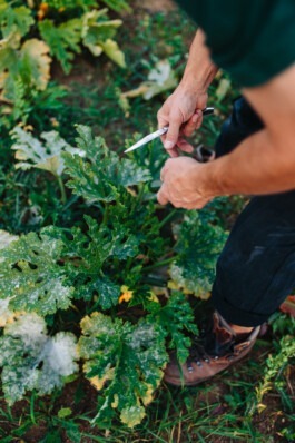 Fabian Hönig – Photographer