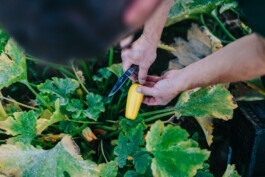 Fabian Hönig – Photographer