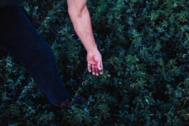 Fabian Hönig – Photographer