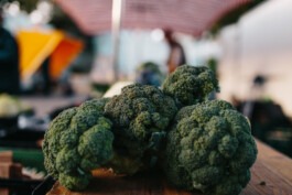 Fabian Hönig – Photographer