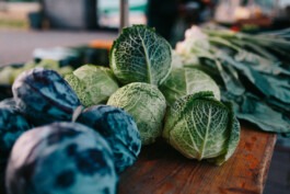 Fabian Hönig – Photographer