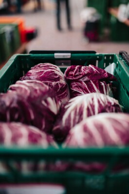 Fabian Hönig – Photographer