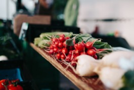 Fabian Hönig – Photographer