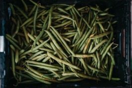 Fabian Hönig – Photographer