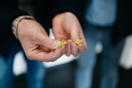 Werbefotografie Baisinger BierManufaktur Fabian Hönig – Photographer