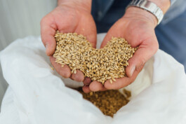 Werbefotografie Baisinger BierManufaktur Fabian Hönig – Photographer