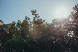  Fabian Hönig – Photographer