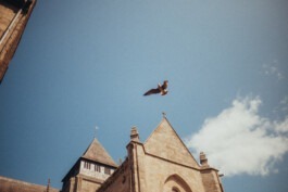  Fabian Hönig – Photographer