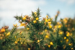  Fabian Hönig – Photographer