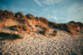 Stranddühne Betragne Fabian Hönig – Photographer