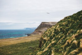  Fabian Hönig – Photographer