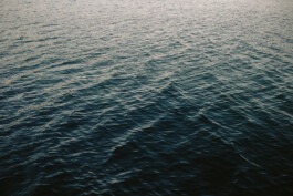  Fabian Hönig – Photographer