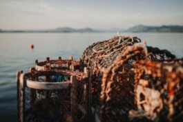  Fabian Hönig – Photographer