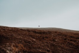  Fabian Hönig – Photographer