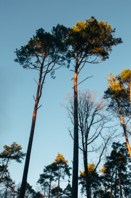  Fabian Hönig – Photographer