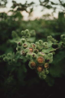  Fabian Hönig – Photographer