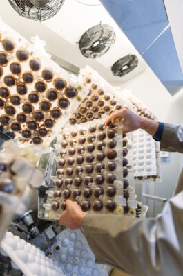  Fabian Hönig – Photographer