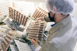  Fabian Hönig – Photographer