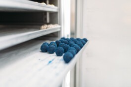  Fabian Hönig – Photographer