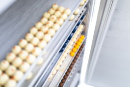  Fabian Hönig – Photographer