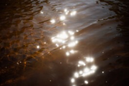  Fabian Hönig – Photographer