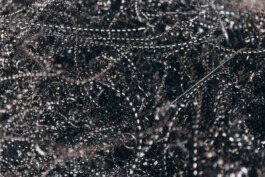 Fabian Hönig – Photographer