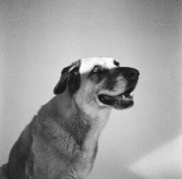  Fabian Hönig – Photographer