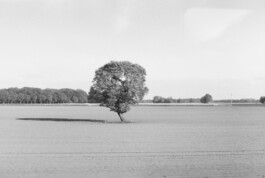  Fabian Hönig – Photographer