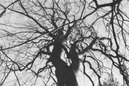  Fabian Hönig – Photographer