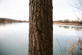  Fabian Hönig – Photographer