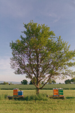  Fabian Hönig – Photographer