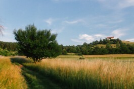  Fabian Hönig – Photographer