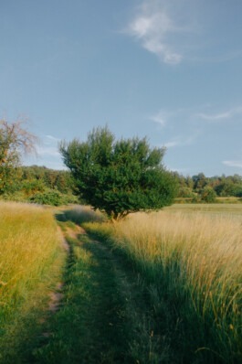  Fabian Hönig – Photographer