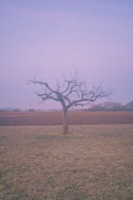  Fabian Hönig – Photographer