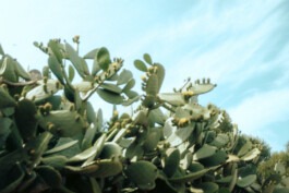  Fabian Hönig – Photographer