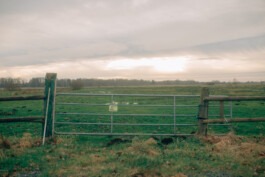  Fabian Hönig – Photographer