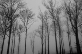  Fabian Hönig – Photographer