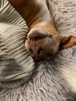  Fabian Hönig – Photographer