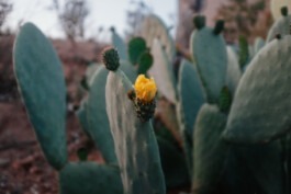  Fabian Hönig – Photographer