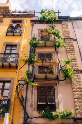  Fabian Hönig – Photographer