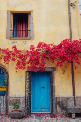  Fabian Hönig – Photographer