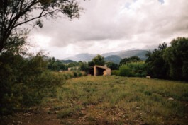  Fabian Hönig – Photographer