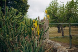  Fabian Hönig – Photographer