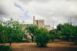  Fabian Hönig – Photographer